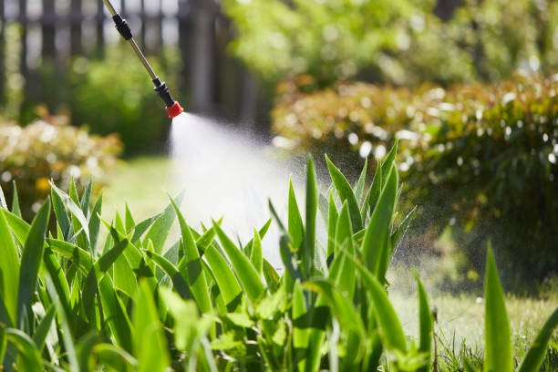 24/7 Emergency Cockroach Control experts in Langston, OK