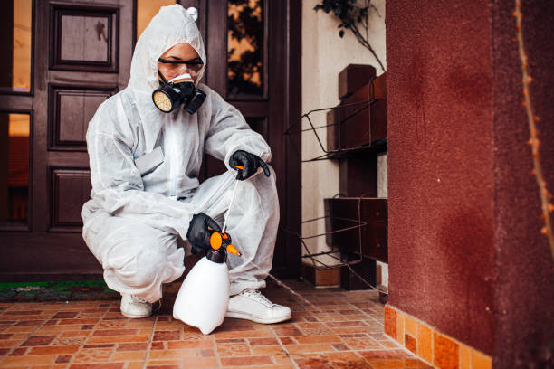 Reliable Cockroach Control contractor in Langston, OK by Nex Pest Control