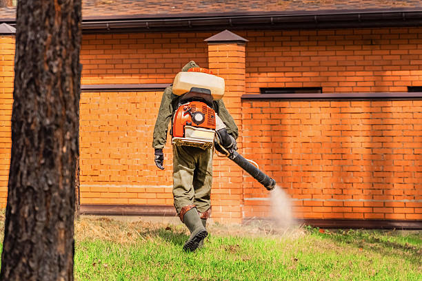 Top rated local Cockroach Control specialists in Langston, OK
